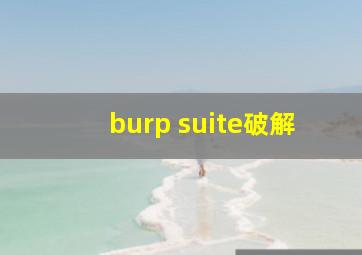 burp suite破解